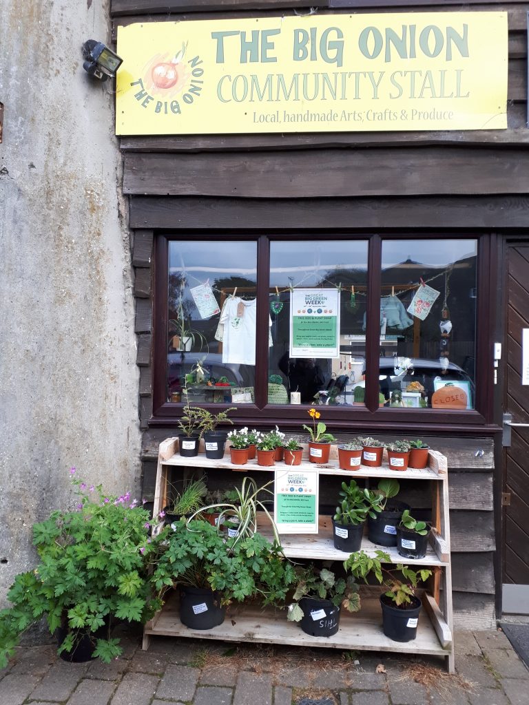 Plants for sale outside of a shop