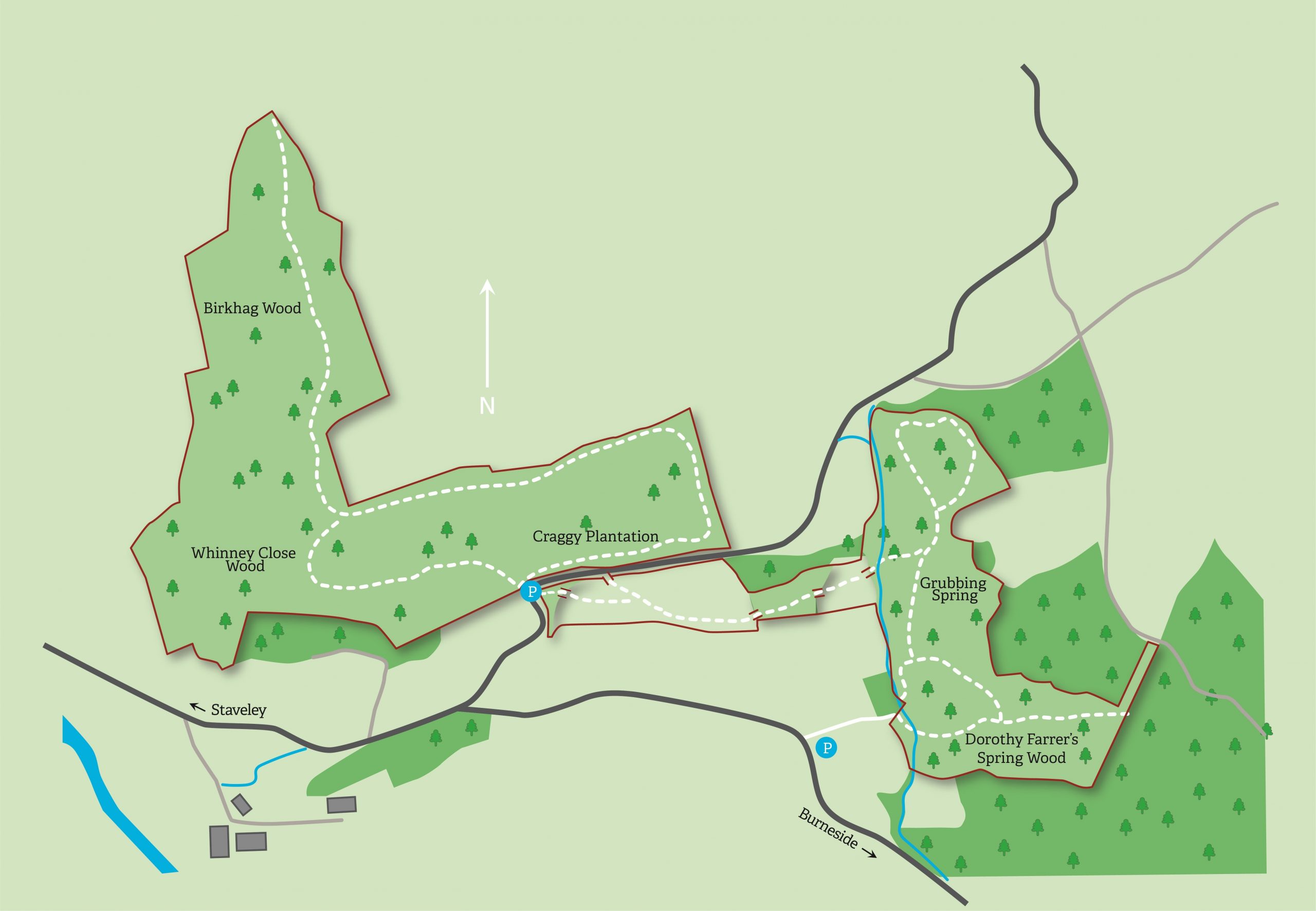 An illustrated map of Staveley Woodlands