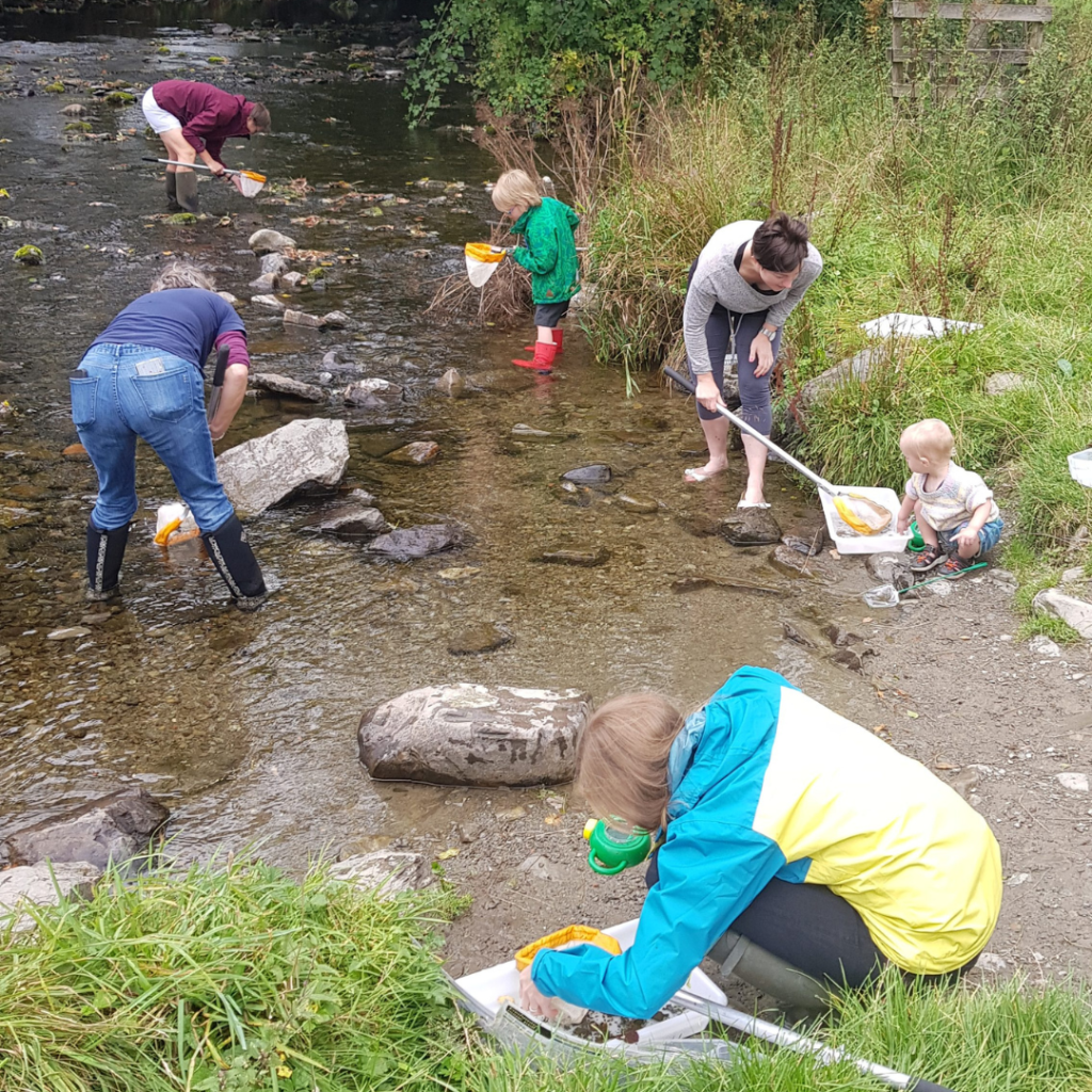 A group of adults and children river dipping in the river Kent