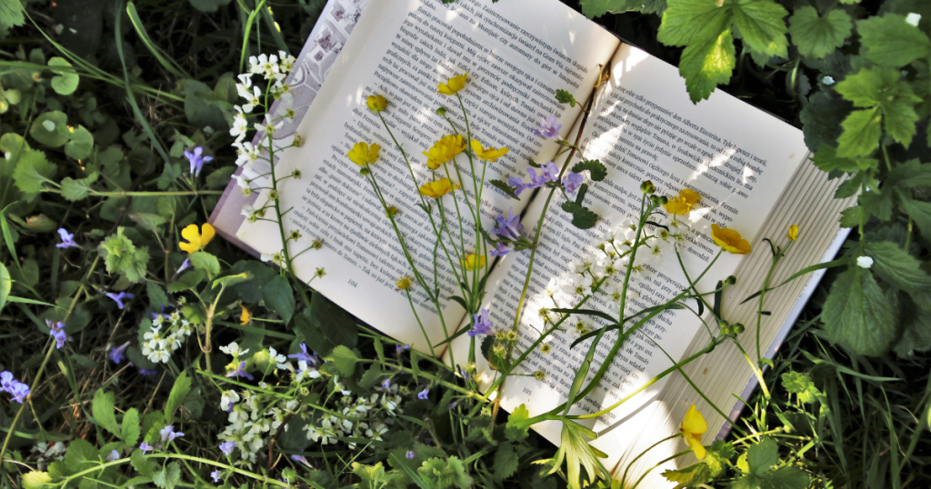 An open book placed on the ground in a green garden, with flowers over the pages. 