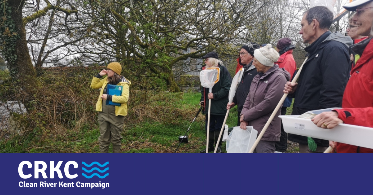 Volunteers with water sampling tools stand on the banks of the river Kent