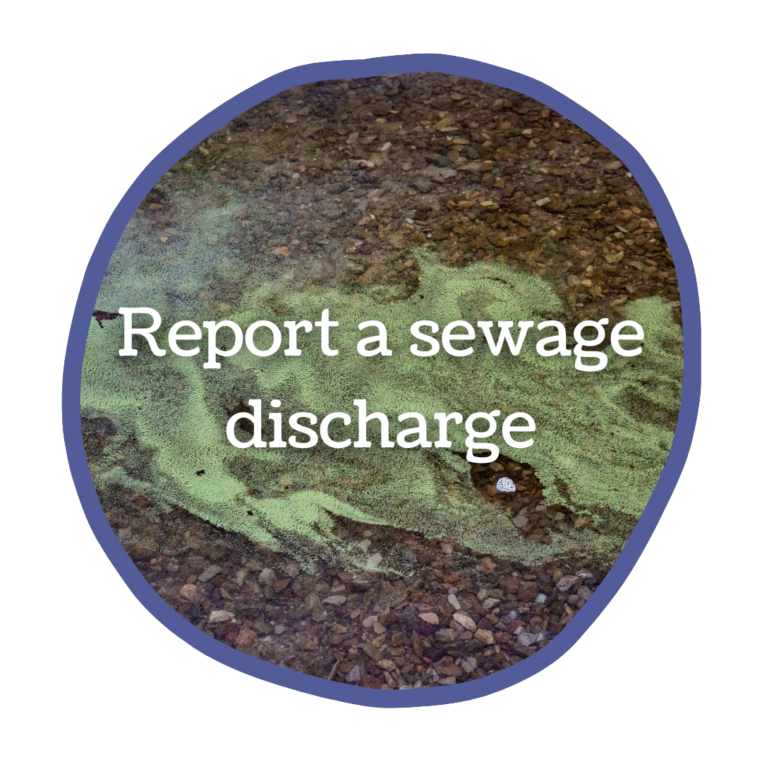 A circular image of sewage in the river Kent with the text 'report a sewage discharge' overlaid