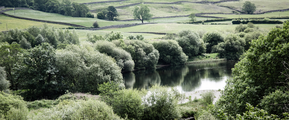 A landscape view of the river Kent in high summer