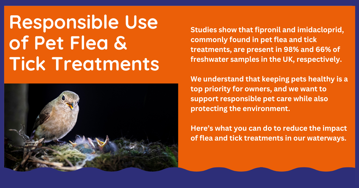 FLEA Tick webpage (1)